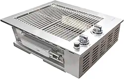 Churrasqueira a Gás Alluma Smokeless Em Inox 304 de Embutir - Sem Tampa - 2 Queimadores - Sem Fumaça