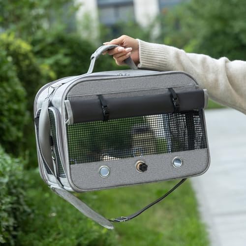 Enclos oiseaux facile à transporter cage perruche calopsitte avec sac