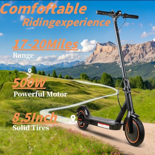 Adult Electric Scooter,Peak Power500/1500W Dual Motors +