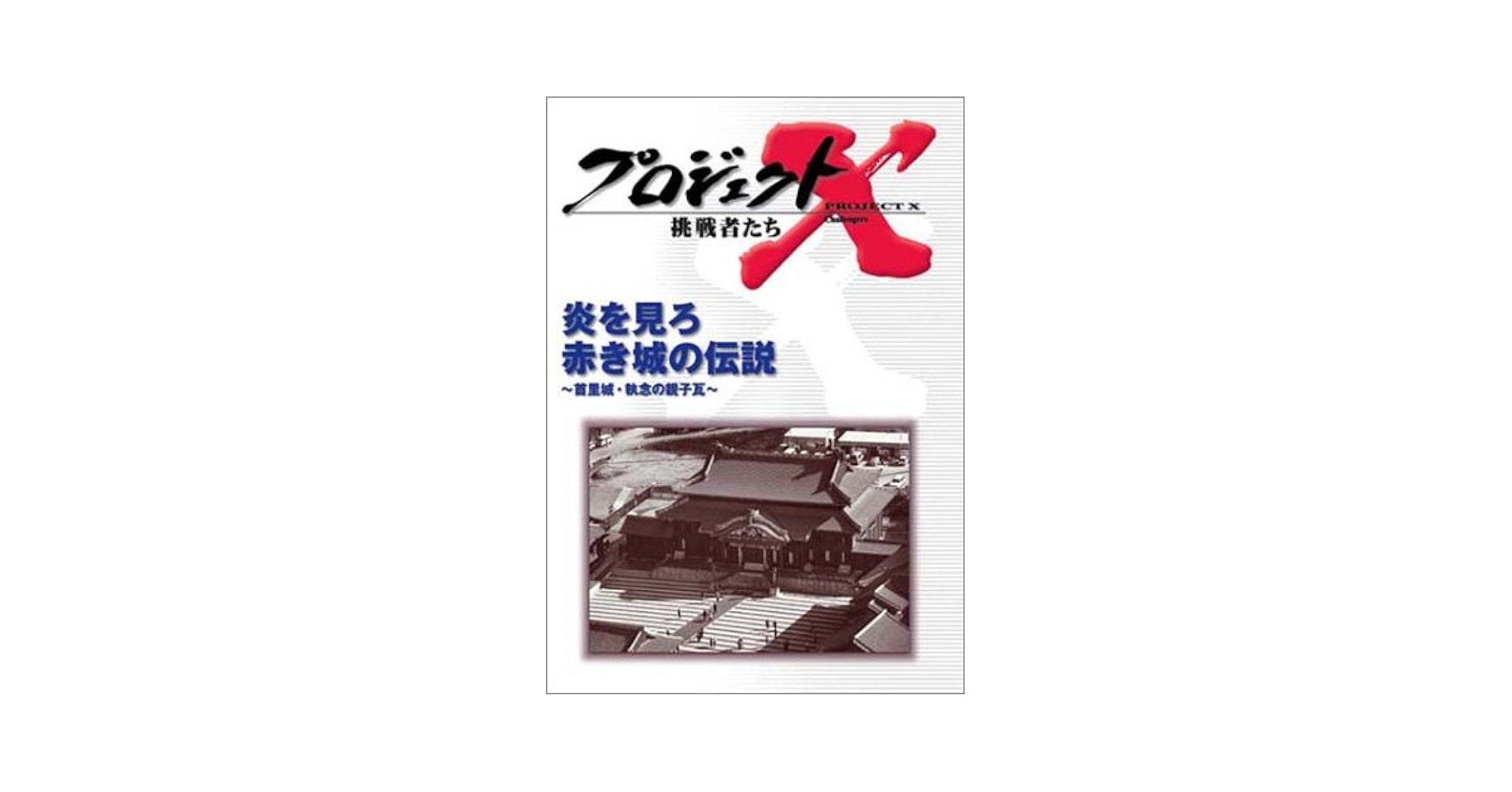 Amazon.co.jp: プロジェクトX 挑戦者たち 第4期 Vol.6 炎を見ろ
