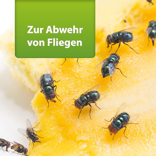 ARDAP Repell Fliegenspray 2 x 400ml - Bestes Mittel gegen Fliegen - Fliegenspray Wohnung- Insektenspray & Ungezieferspray - Schädlingsfrei - Wirkt schnell & effektiv (PT19)