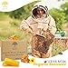 Eco Lux 8 Yellow Beeswax Blocks 100% Pure Natural Organic Bees Wax 6.5oz