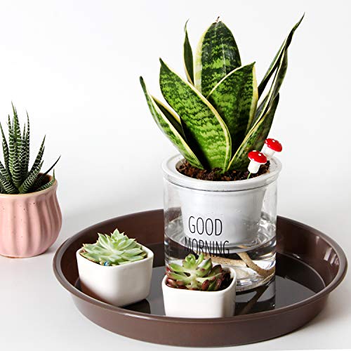 Youngever 10 Pack 10 Inch Plastic Plant Saucers, Thick And Heavy Duty Plastic Saucer Flowerpot Trays, Excellent For Indoor And Outdoor Plants #TOP2