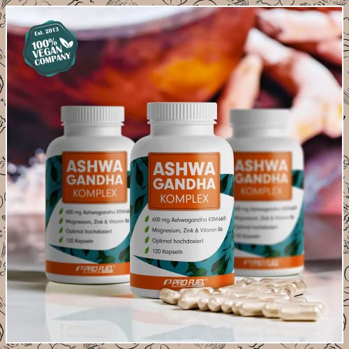 Ashwagandha Kapseln hochdosiert 120x - 600 mg Ashwagandha KSM-66® pro Tag - Komplex mit Ashwagandha-Wurzelextrakt, Magnesium, Zink, Vitamin B6 und Piperin - laborgeprüft mit Zertifikat - 100% vegan