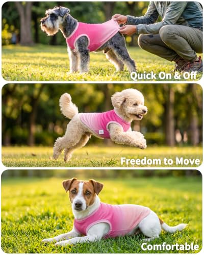 Image of CuteBone Ombre Dog Tank Top for Small Dogs, Cats - Tropical Summer Pet Vest - Breathable Ice Silk Cooling Shirt - Sun Protection, Photo, Casual Play, Walks