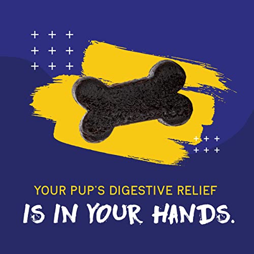 Pupgrade Digestive Support Chews For Dogs - Prebiotic And Probiotic Supplement With Enzyme Blend thumb #6