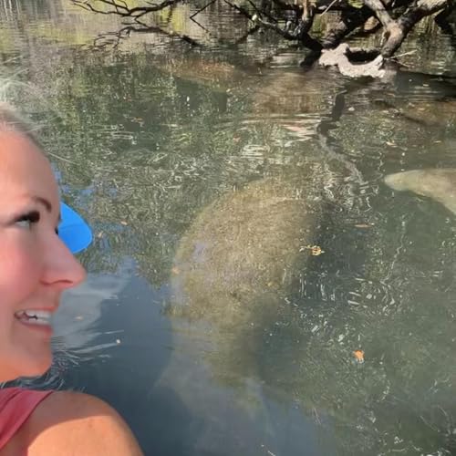 Kayaking with Manatees on the Chassahowitzka River
