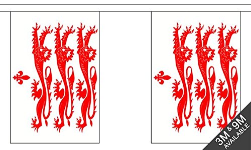 Flagtex Dorset Old Lions Fabric Bunting – 3m with 10 Flags – Premium Indoor & Outdoor Decoration — image 1