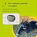 KIPPY - EVO - El Nuevo Collar GPS para Perros y Gatos...