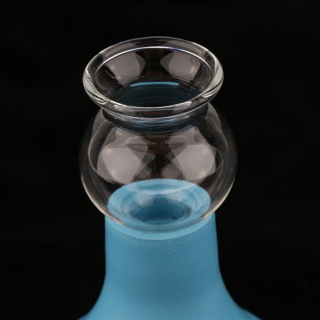 5 Stück Schröpfglas Set Schröpfen Massage Vakuum Schröpfbecher Ganzkörper Massagegerät (Blau + Blau 3cm)