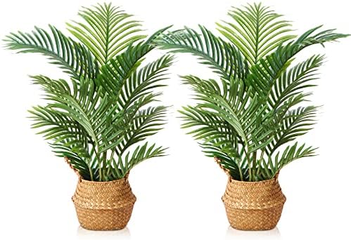 LOMANTO Fake Majesty Palm Plant 3Ft Artificial Plants for Home Decor Indoor Small Faux Trees in Pot Fake Tropical Plants for Housewarming Gift 2Pack
