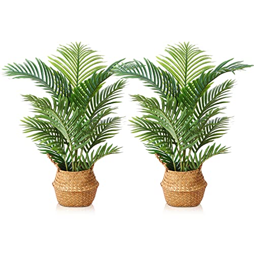 Lomanto Fake Majesty Palm Plant 3Ft Artificial Plants For Home Decor Indoor Small Faux Trees In Pot Fake Tropical Plants For Housewarming Gift 2Pack #TOP2