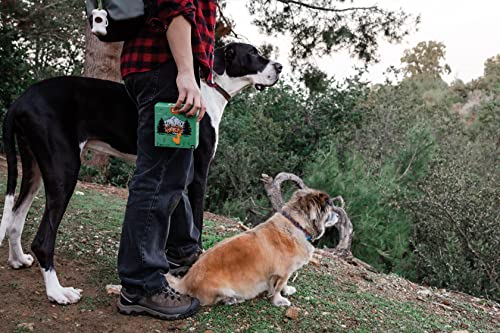 Image of Belle Bottom Biodegradable Dog Poop Bags 9 X 13 Inches | Extra Thick, Large Earth Conscious Litter Bag, Disposable and Earth Friendly | Durable Doggy Poop Bags, Certified Compostable| 240 pcs.