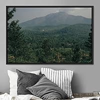 Framed Canvas Wall Art Greenlands Aerial Dark Farmhouse/Country Green Nature Photography Realism Relax/Calm - 16x24 inches