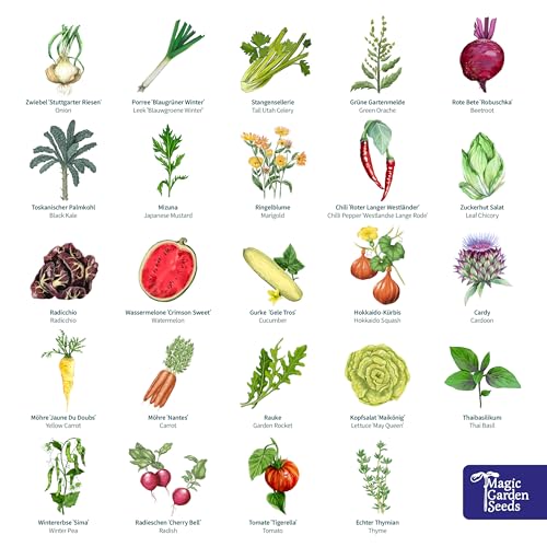 Magische Zeit - Bio-Saatgut-Adventskalender - Bunter Selbstversorgergarten - 24 Adventskalendertütchen befüllt mit Bio-Gemüsesamen für den großen Gemüse- und Selbstversorgergarten