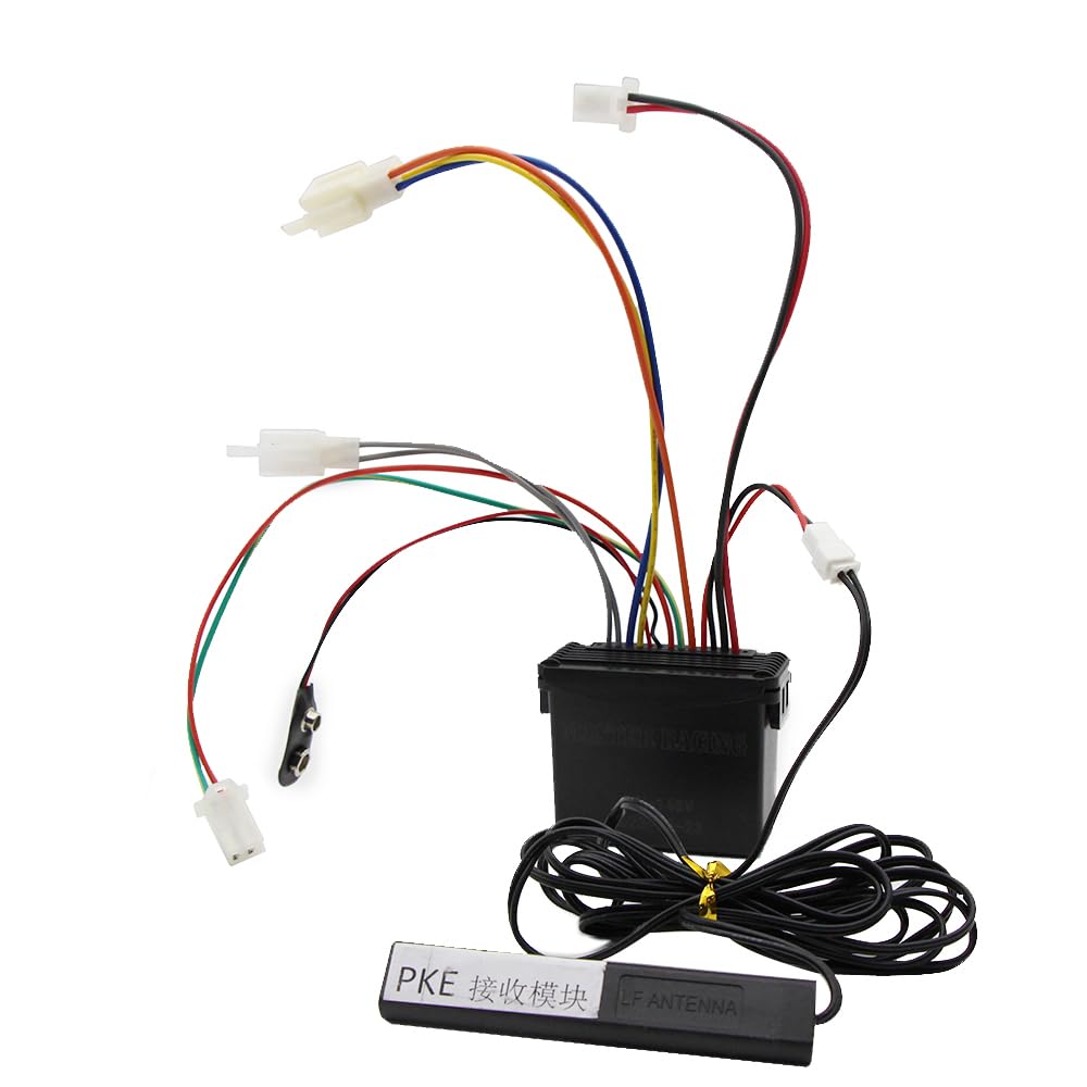 48v~145v Elektryczny rower E-bike Dwukierunkowy alarm do ekranu LCD System antywłamaniowy(1x Two Way)