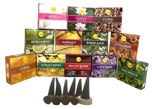 Sreevani Natural Masala Incense Cones And Holder Bundle, 120 Cones Total, Assorted #1 #TOP1