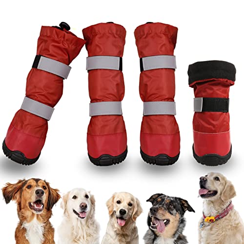 Skid Boot Dog The 15 best products compared Wild Explained