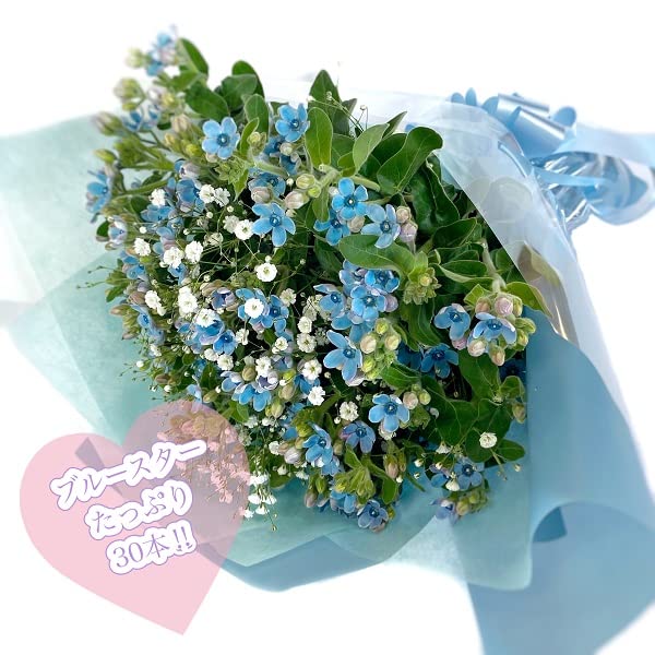 Amazon｜BisesFlower(ビズフラワー)【クール便出荷】【星形