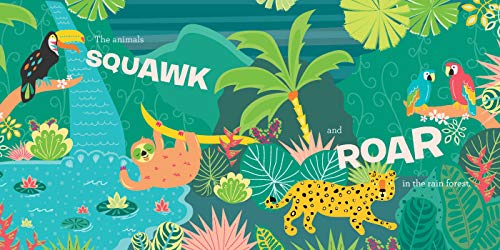 Rio de Janeiro: A Book of Sounds