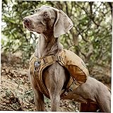 OneTigris CAMELUS Hunderucksack Reißen Camping Wandern Hundebackpack für M/L Größe Hunde (L, Coyote Braun)