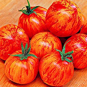 Germinazione I Semi: Verdi: Egrow 100Pcs / Pack Rosso Verde Giallo Pomodoro Seme Serra Vaso Organic vegetab
