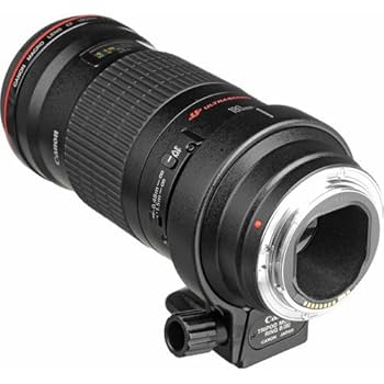 Amazon.com : Canon 180mm F3.5 L AF Macro Lens : Camera