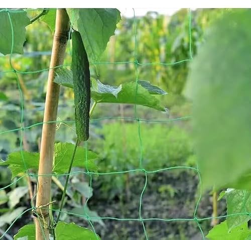(6' X 12'Ft,4" Mesh Size) Trellis Netting For Climbing Plants Durable And Reusable Heavy-Duty Plant Climbing Net Outdoor For Cucumber, Tomato And More #TOP2
