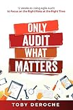 Only Audit What Matters: 12 Weeks to Using Agile Audit to Focus on the Right Risks at the Right Time (English Edition)