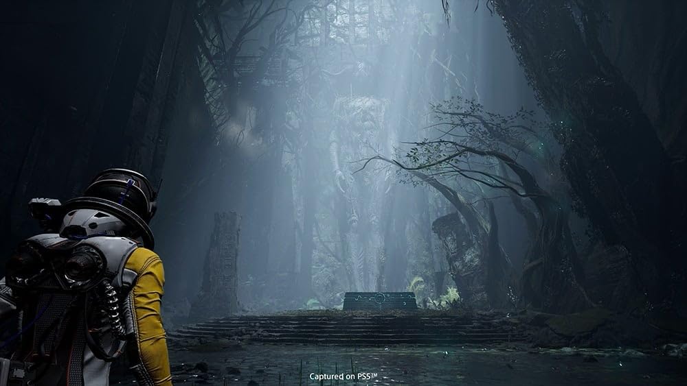Sony Devolución (PS5) (PS5)