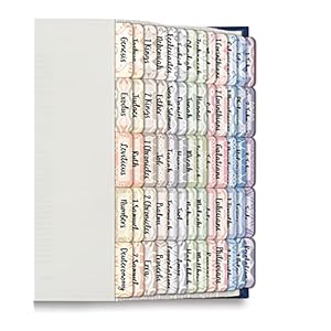 Bible-Tabs-Old-and-New-Testament-by-Better-Office-Products-75-Laminated-Bible-Index-Tabs-66-Book-Names-9-Blanks-Christian-Bible-Journaling-Adhesive-Tabs-Harmonious-Themed-Backgrounds