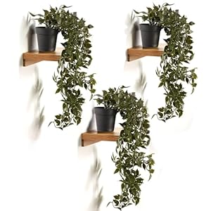 Kuber Industries Artificial Vine Plant with Pot (Green, 3 Pieces)