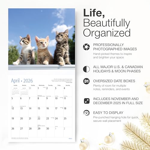 Calendrier 2026 chatons en papier épais robuste - 2