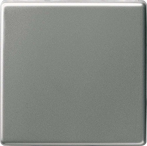 Gira 029620, Bilanciere per interruttore a