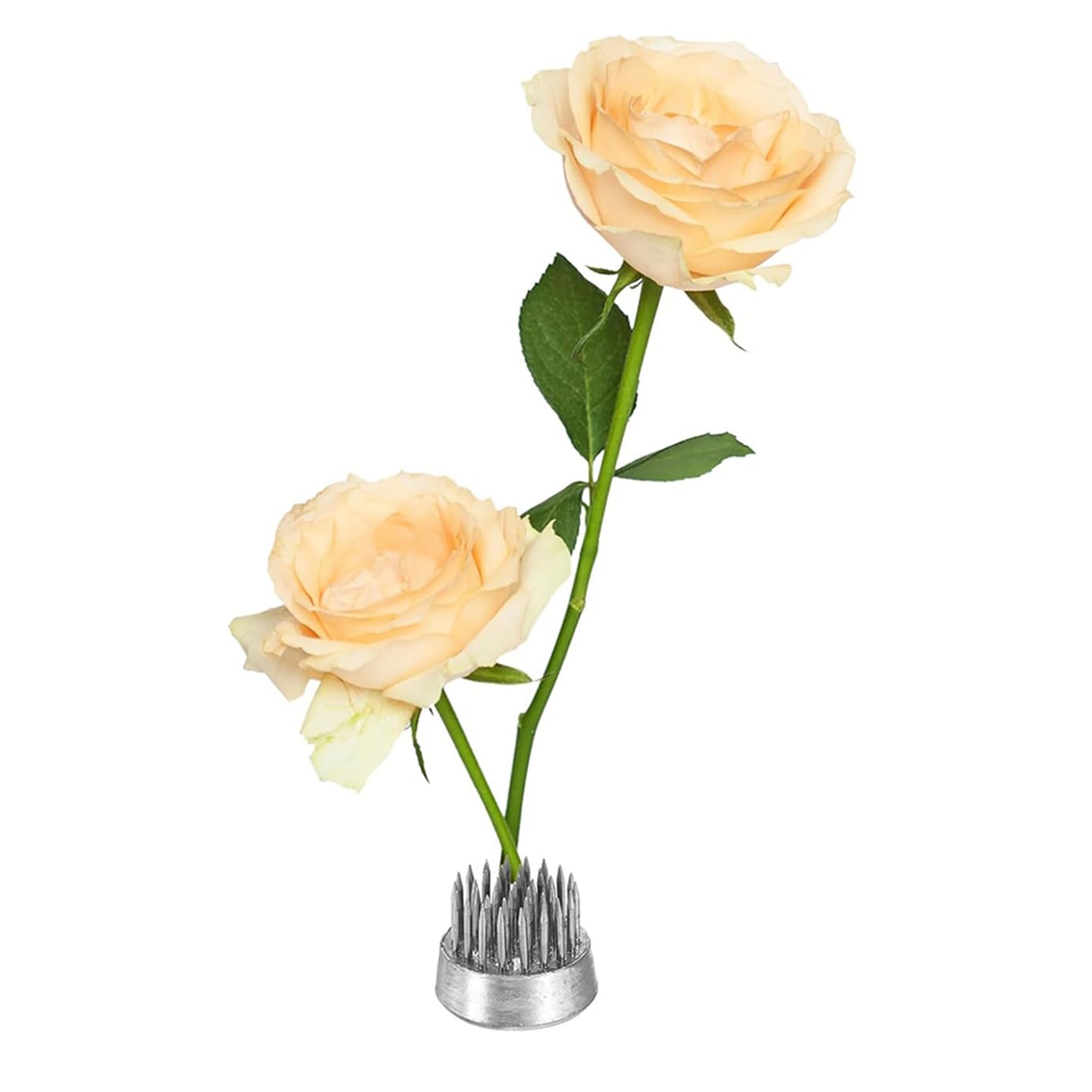 36 Piezas de Ranas de Flores, Ranas Florales Redondas de Acero Inoxidable, Herramienta Fija para Arreglos Florales, Rana para Florero con Arreglos Florales
