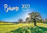 Bäume Premium Kalender 2023 DIN A4 Wandkalender Natur Bäume Wald Wälder Wasserfall Lichtungen Waldsee Berge Täler Schnee