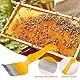 Honig Entdeckelungsgabel Imker, Edelstahl Entdeckelungs Gabel, Bienen Gabel Honig Kamm, Scharf und Stark, mit 21 Zinken, mit Gelb Plastik Bequemer Handgriff, Kamm Imkereiausrüstung Zubehör, für Imker