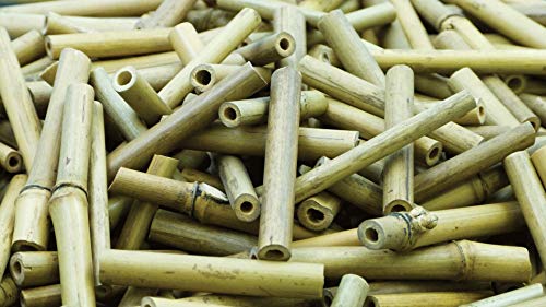 Baker Ross AF926 Short Bamboo Sticks, Sticks For Children An