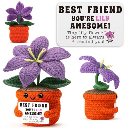Sensi Blue Cute Lily Keepsake,Friend Gifts for Women,Friendship Birthday Gift for Her,Galentines Day,Christmas Stocking Stuffer,Sentimental Cheer Up Present for BFF,Unbiological Sister,Cute Desk Decor
