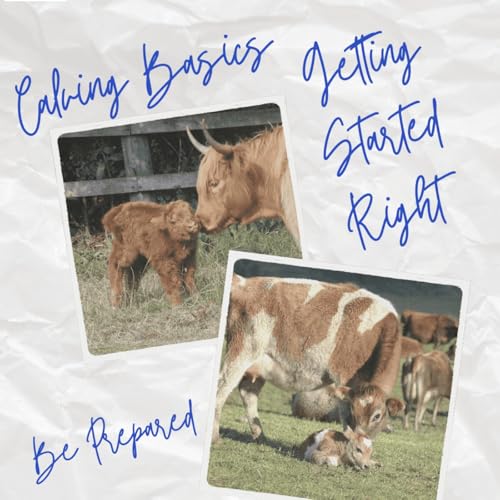 Calving Basics: Getting Started Right