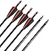 ZSHJGJR Archery 54 Inch Recurve Bow and Arrow Set Takedown Straight Bow 30-40lbs Practice Bow Kit Right Hand Taditional Longbow with 6pcs Fiberglass Arrows (Red Bow Set)
