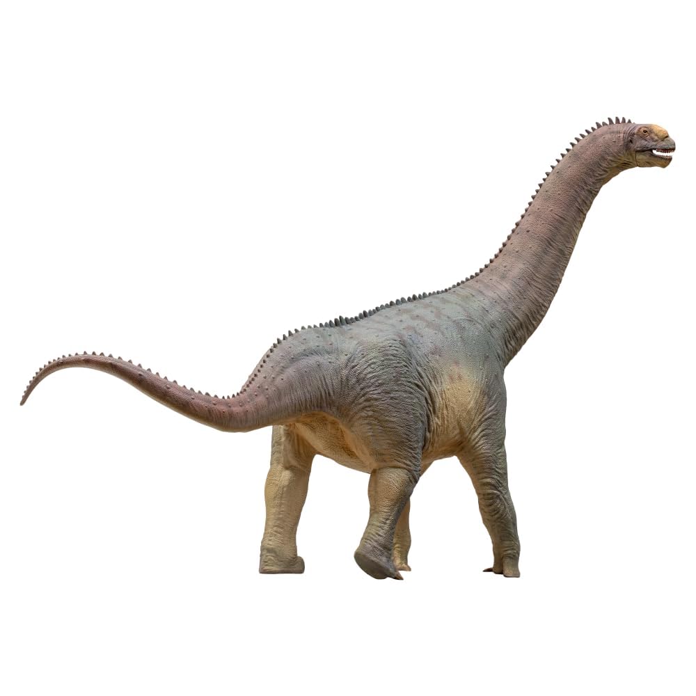 AMITD Prehistoric Dinosaur Models:85 Njor the Camarasaurus