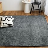 テイジン カーペット ラグ ブラック 185×235cm 新生活 さらふわ質感 滑り止め付き 手洗いOK オールシーズン メランジ ラグマット