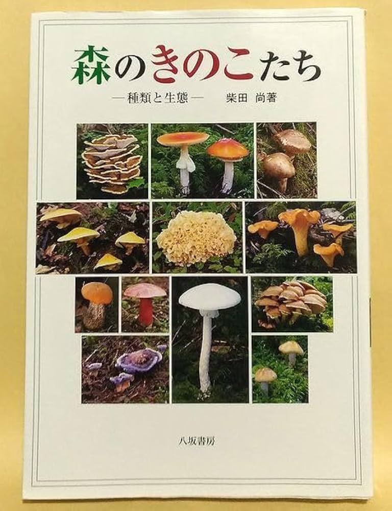 キノコ・キノコ　全巻* キノコ・キノコ 全5巻 みを・まこと リボンコミックス