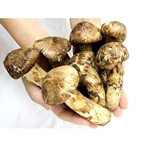 Amazon.co.jp: Matsutake Mushrooms: Food, Beverages & Alcohol