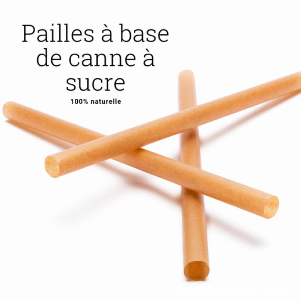 Pailles en fibre de canne à sucre (21cm * 8mm diam. paquet de 300)