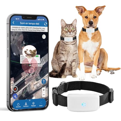 Tracker GPS per cani e gatti senza abbonamento