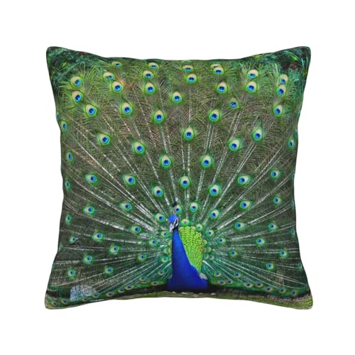 Housse de coussin velours côtelé paon 45x45 cm pour salon