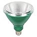 Westinghouse 3314900 100-Watt Equivalent PAR38 Flood Green Outdoor Weatherproof LED Light Bulb with Medium Base, Single Green 33149