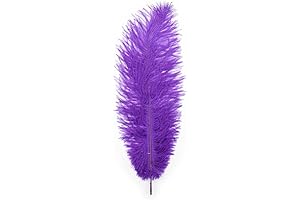 Tickle for Lovers with Feather Fun Tease Toys